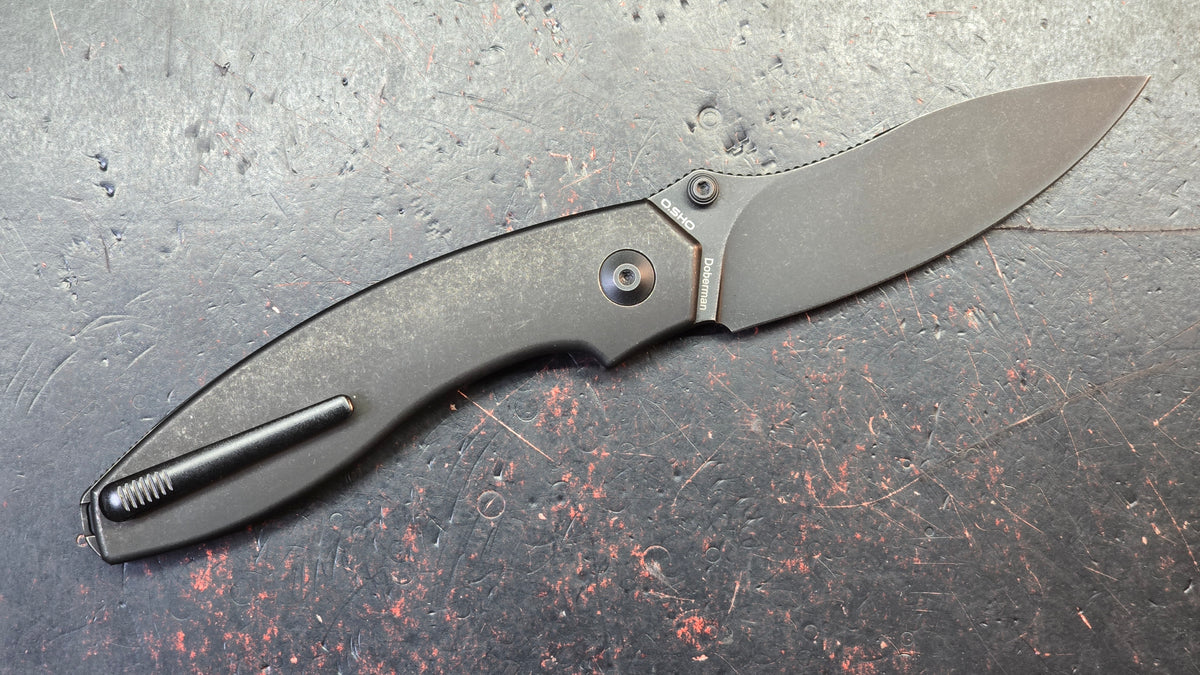 Kizer Doberman Titanium Handle S35VN Blade