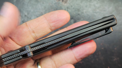 Kizer Doberman Titanium Handle S35VN Blade