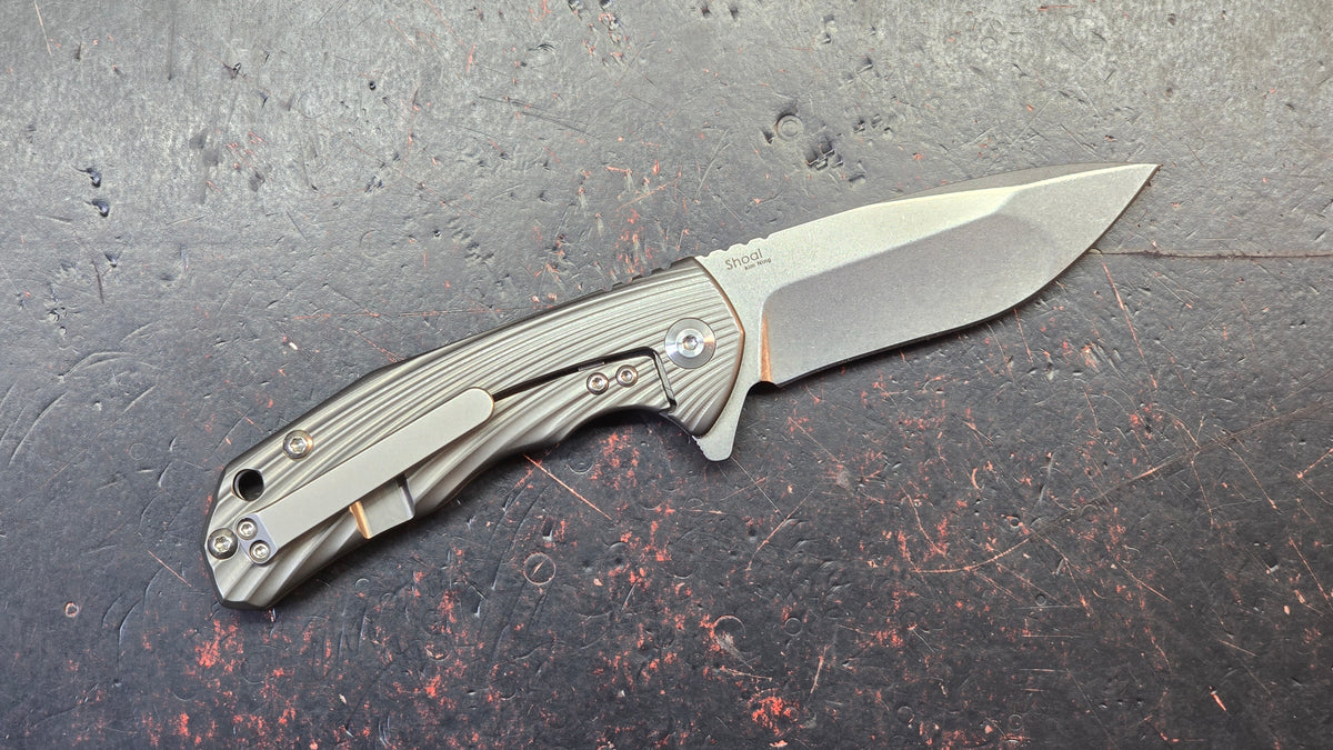 Kizer Shoal Titanium Handle S35VN Blade
