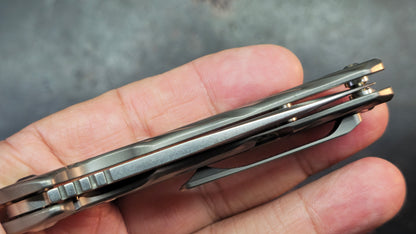Kizer Shoal Titanium Handle S35VN Blade
