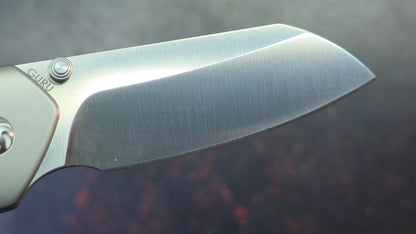 Kizer Guru Titanium Handle S35VN Blade