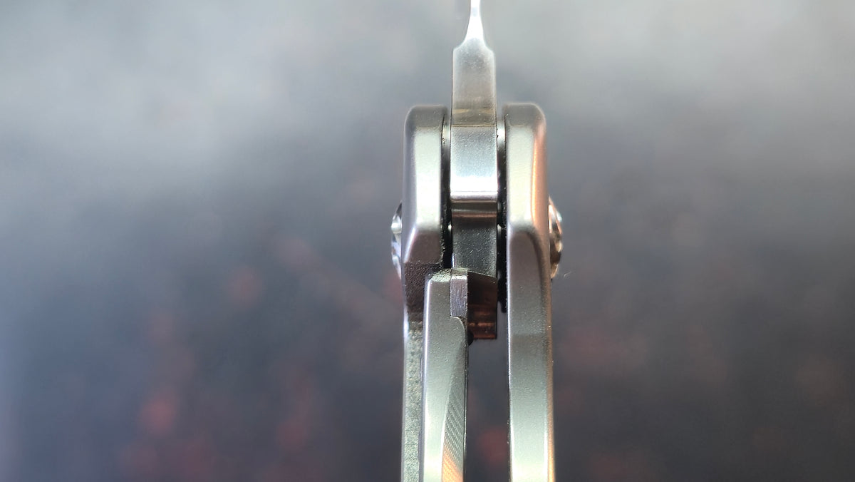Kizer Guru Titanium Handle S35VN Blade