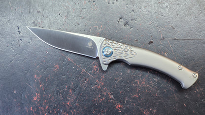 Kizer Sea Lion Titanium Handle S35VN Blade