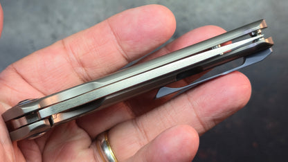 Kizer Sea Lion Titanium Handle S35VN Blade
