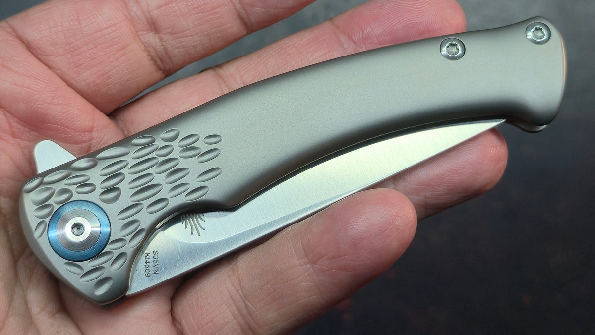Kizer Sea Lion Titanium Handle S35VN Blade