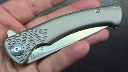 Kizer Sea Lion Titanium Handle S35VN Blade