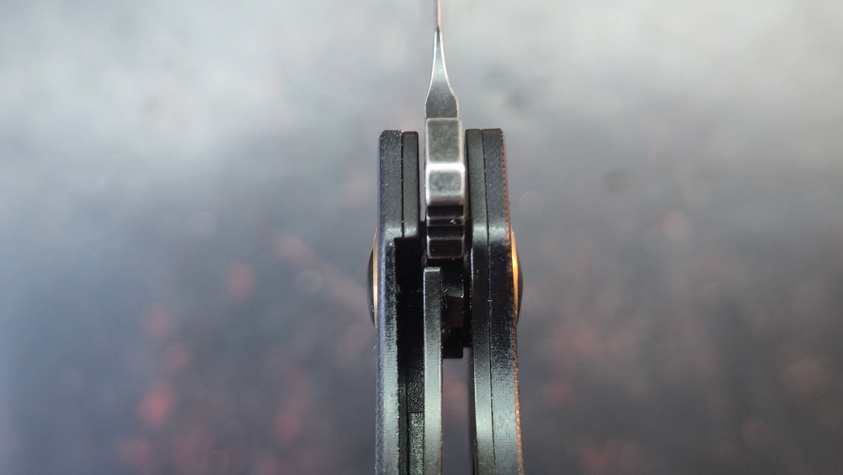 Kizer Z-82 G10 Handle N690 Blade