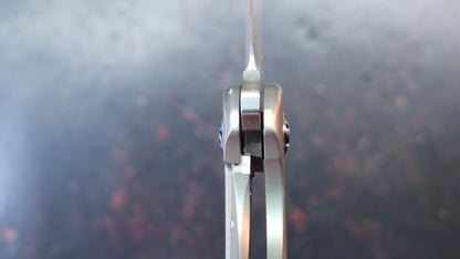 Kizer Alter Ego Titanium Handle S35VN Blade