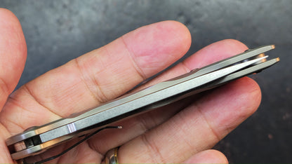 Kizer Ki3306 Titanium Handle AUS8 Blade