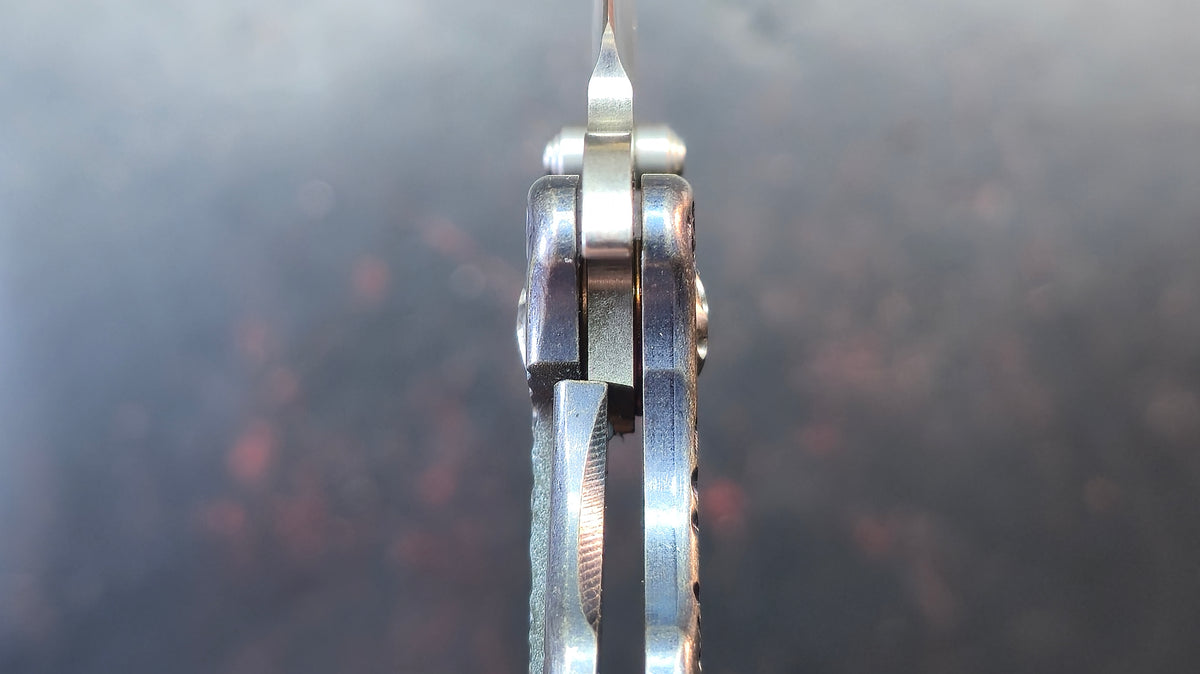 Kizer Rugiada Titanium Handle S35VN Blade
