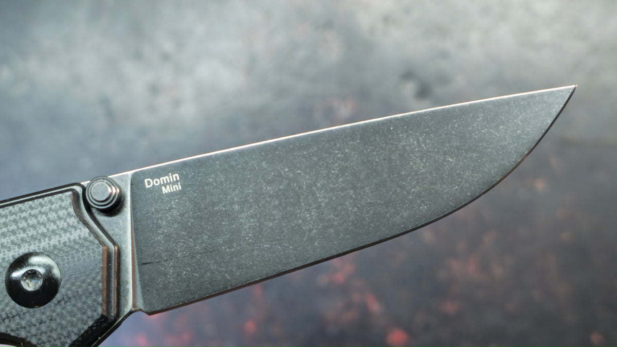Kizer Domin Mini G10 Handle N690 Blade