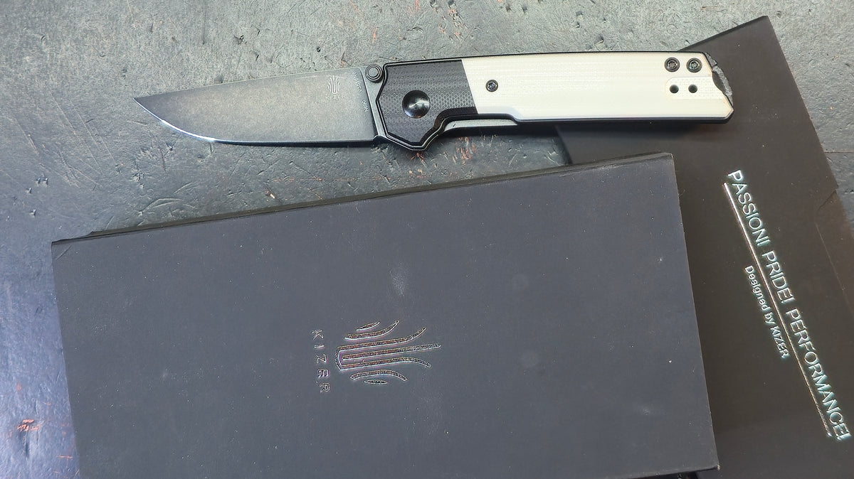 Kizer Domin Mini G10 Handle N690 Blade