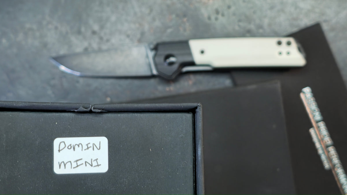 Kizer Domin Mini G10 Handle N690 Blade