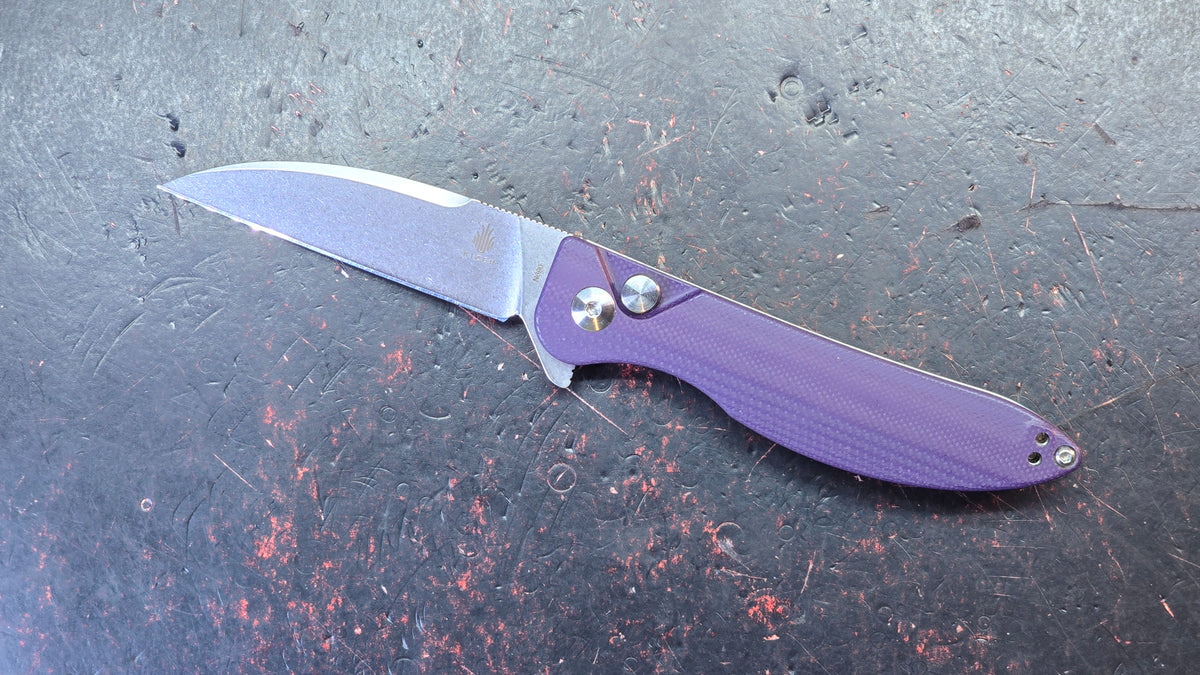 Kizer Sway Back G10 Handle N690 Blade