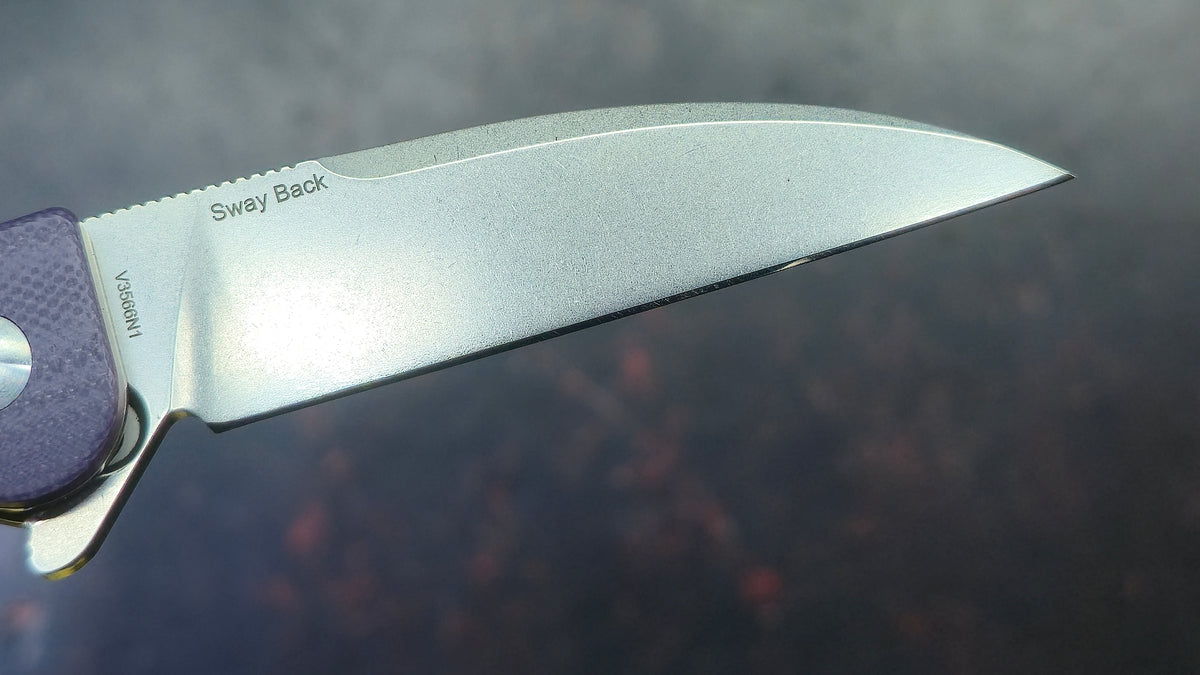 Kizer Sway Back G10 Handle N690 Blade