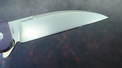 Kizer Sway Back G10 Handle N690 Blade