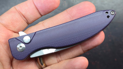 Kizer Sway Back G10 Handle N690 Blade
