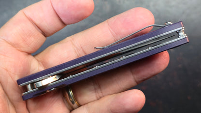 Kizer Sway Back G10 Handle N690 Blade